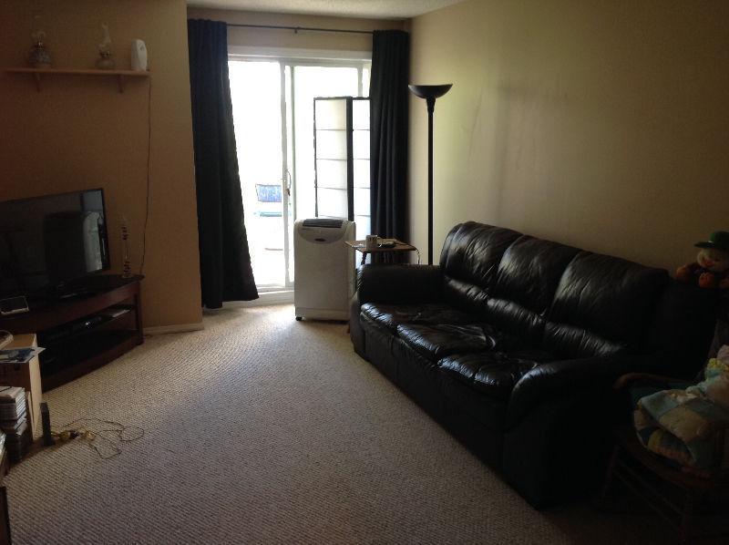 Gay male has room with pvt bath 4 rent in 2 bed 2 bath dt condo