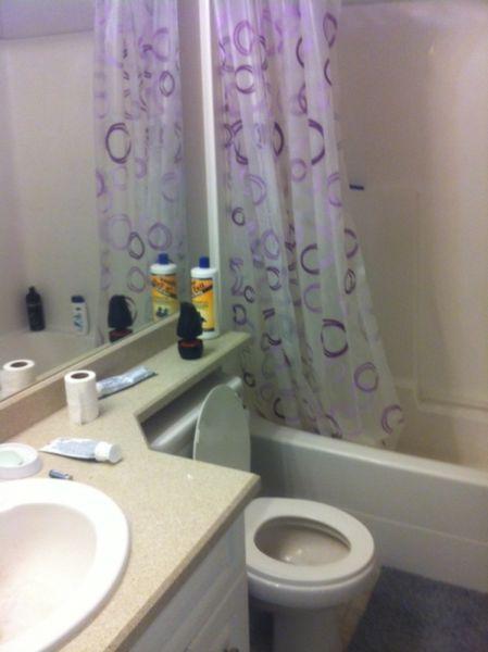 Nice and quit area asking $650 all inclusive