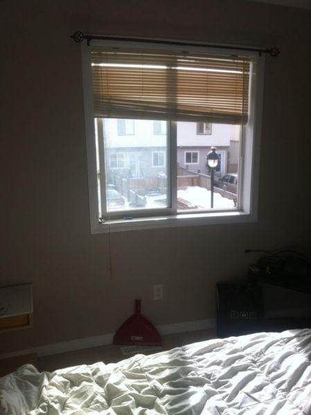 Nice and quit area asking $650 all inclusive