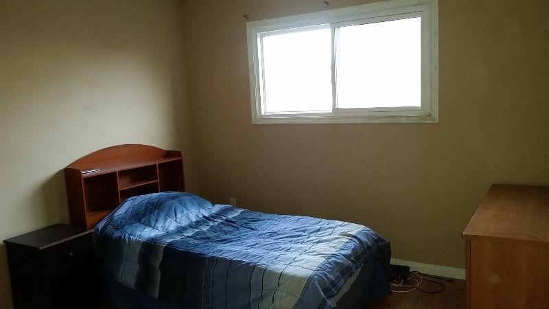 one room for rent in Thickwood