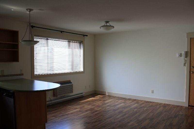 Available Now, Arnelia Building Downtown One Bedroom