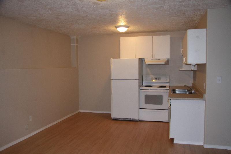 Cozy two bedroom suite, close to downtown