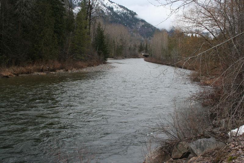 1/2 acre home on Banks of Salmo River Salmo BC