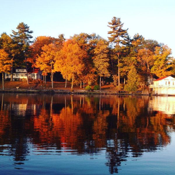 Cottage for sale - Clear/Stony Lake