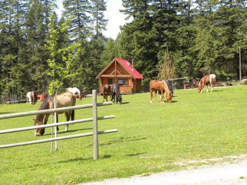 1129 Creighton Valley Rd, Lumby BC - Camel's Hump Guest Ranch!
