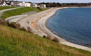 Oceanfront Homes for Sale  BC