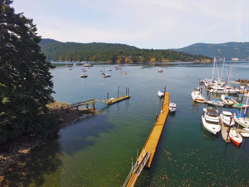 Rare Low Bank Waterfront with 200 foot Dock