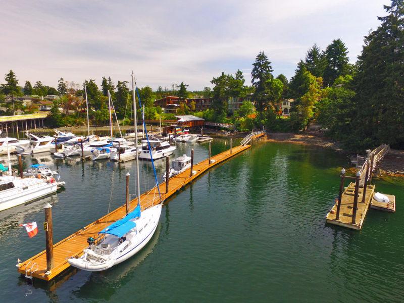 Rare Low Bank Waterfront with 200 foot Dock