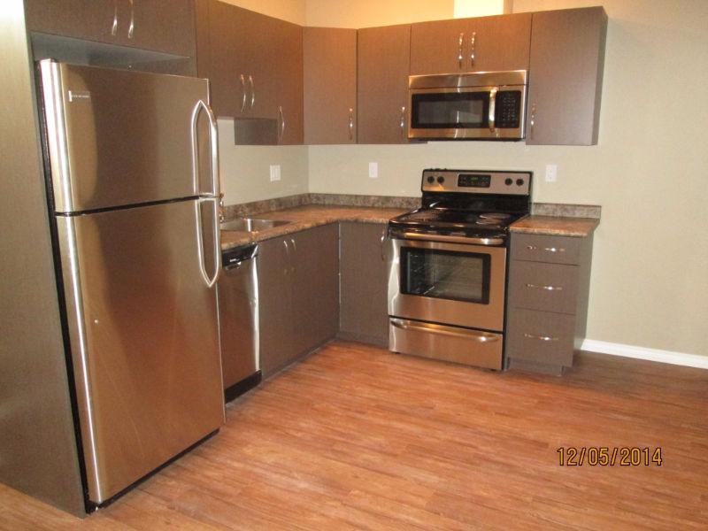 *** PRICE REDUCED*** $700 NEW 2 Bdr Suite, 519 97th Ave