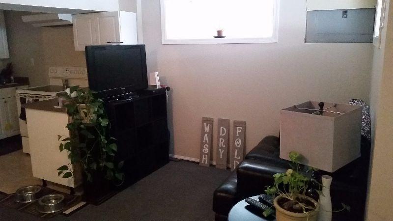 1 bedroom basement suite downtown