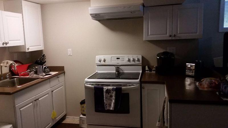 1 bedroom basement suite downtown