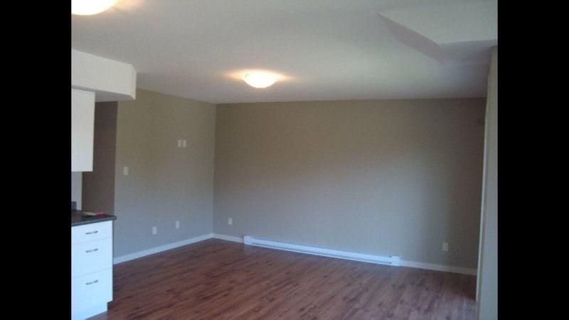 Basement Suite Downtown
