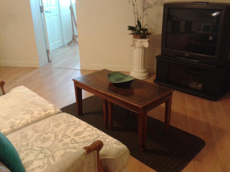 DOWNTOWN FURNISHED 2 BEDROOM BASEMENT