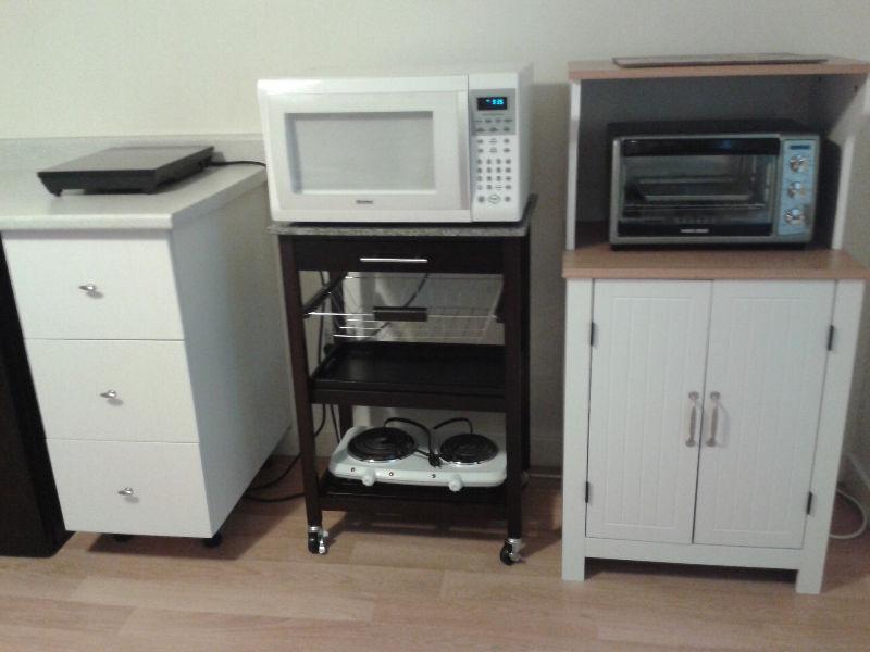 DOWNTOWN FURNISHED 2 BEDROOM BASEMENT