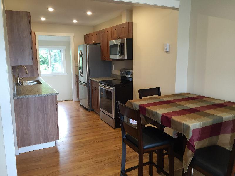 Fully renovated partially or fully furnished