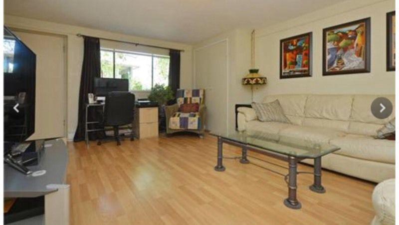 Bright daylight suite, utilities included