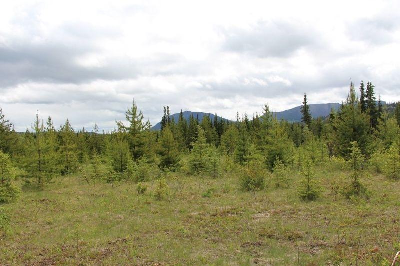 Land for sale in  BC