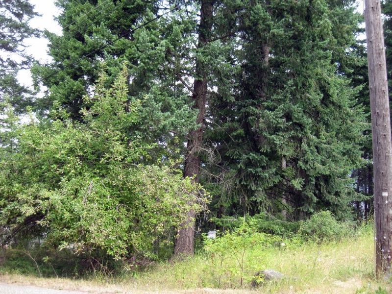 0.24 acre Lot with Mountain View