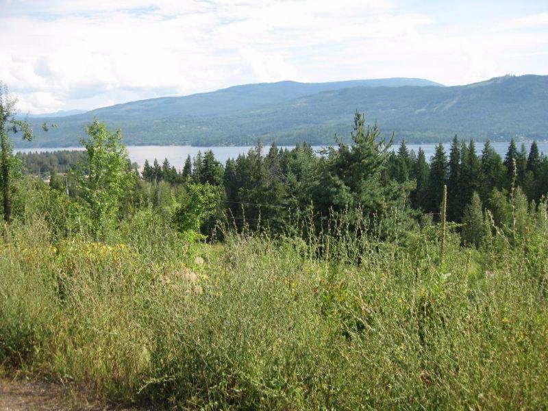 8.8 acres with Lake and Mountain views