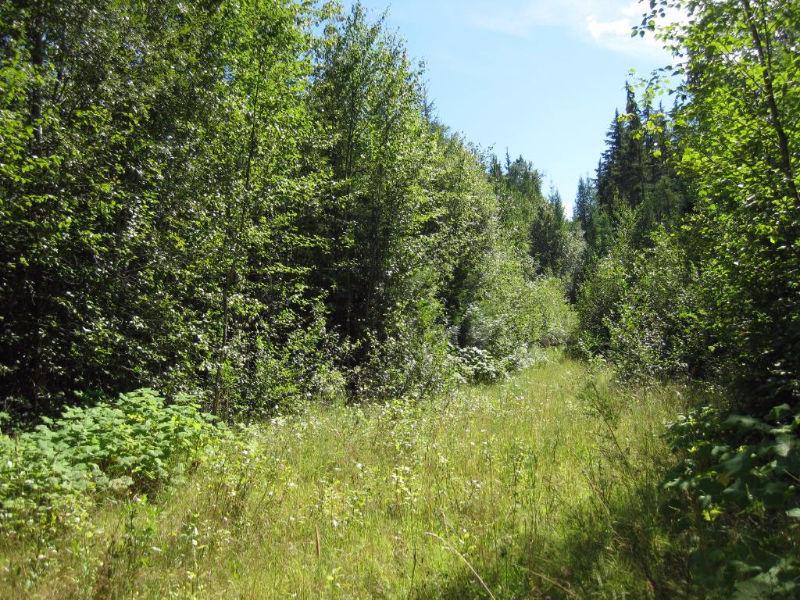 9.31 acreage in Eagle Bay