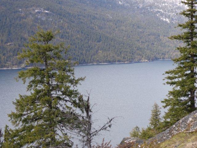 Rare Slocan Lakeview Land! (DL 6530 Hwy 6, Slocan)