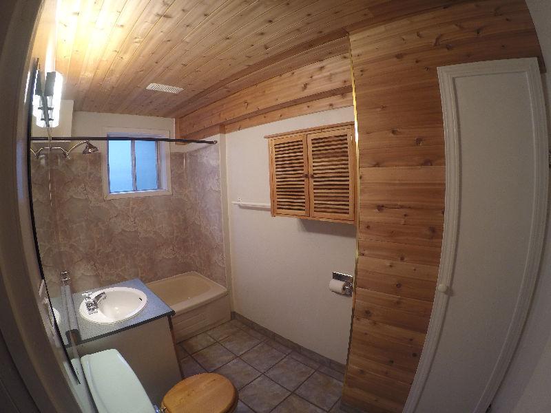Downtown Room Mate Rental