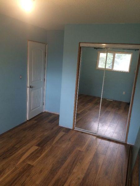 Roommate wanted 1 room in full shared house in Tabor area