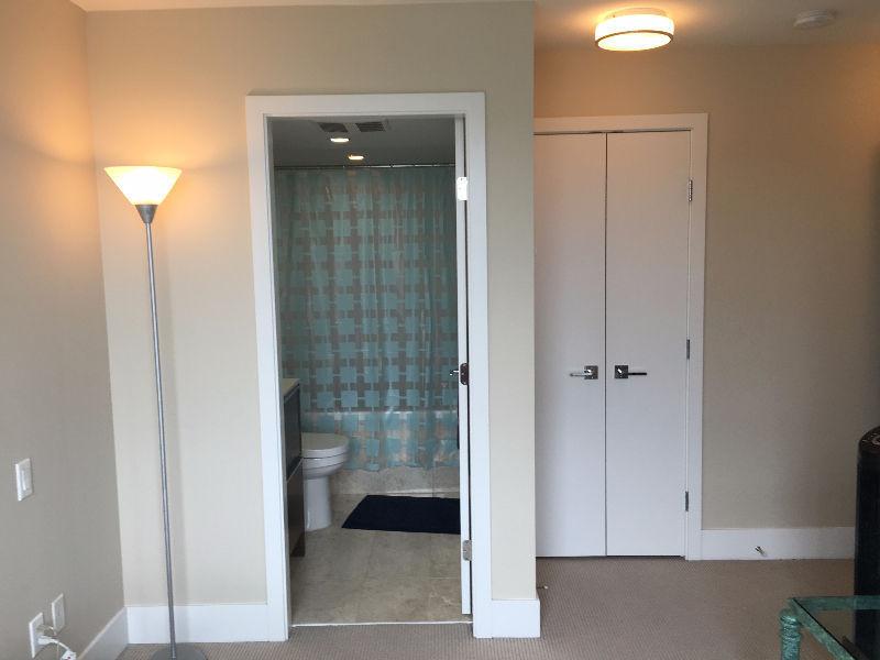 Roommate for a 2 bedroom apartment in prime location,
