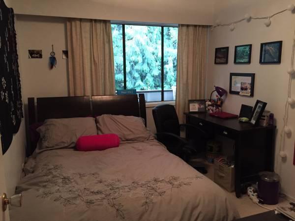 Room for rent in bright two-bedroom aparment
