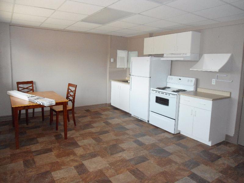 Appartement une chambre / 1-bedroom apartment