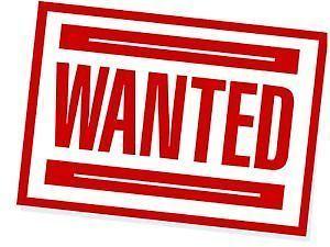 Wanted: Looking for an apartment to rent ASAP