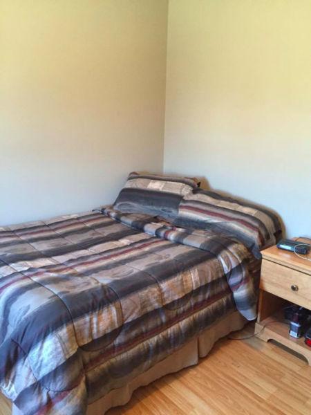 3 Bedrooms for rent