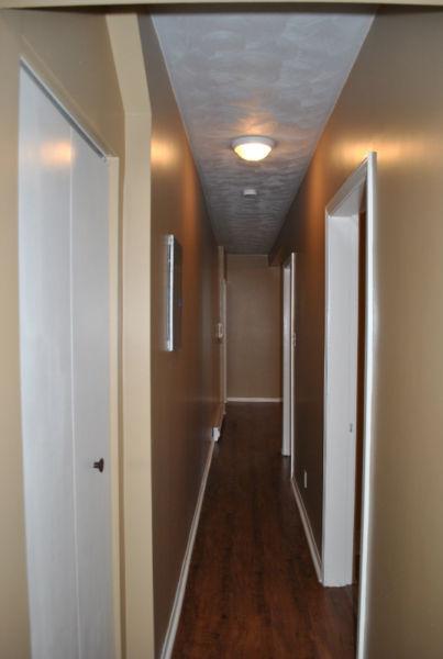 1 Bedroom Downtown  - Walking Distance to Oulton College