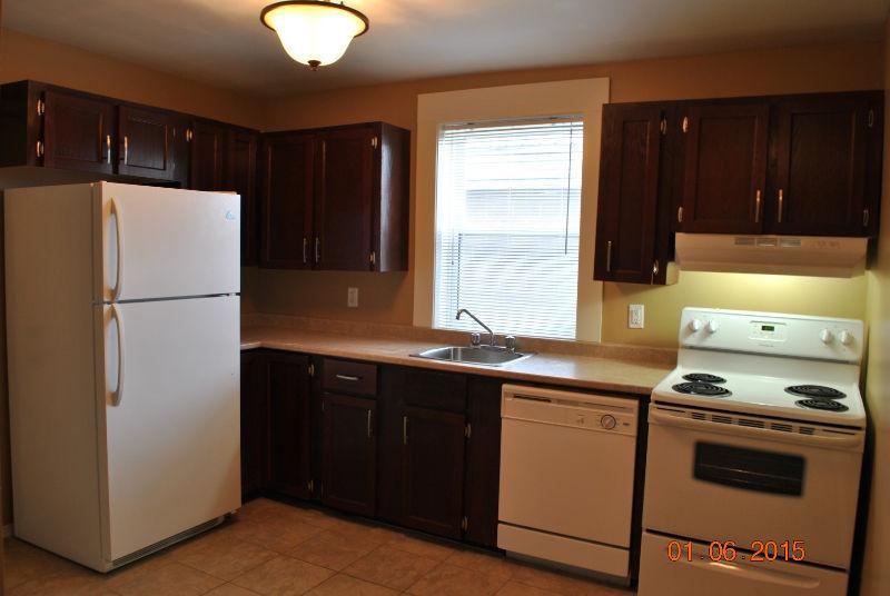 1 Bedroom Downtown  - Walking Distance to Oulton College