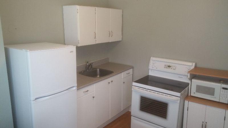 Downtown 1 bedroom apartment everthing included available July 1