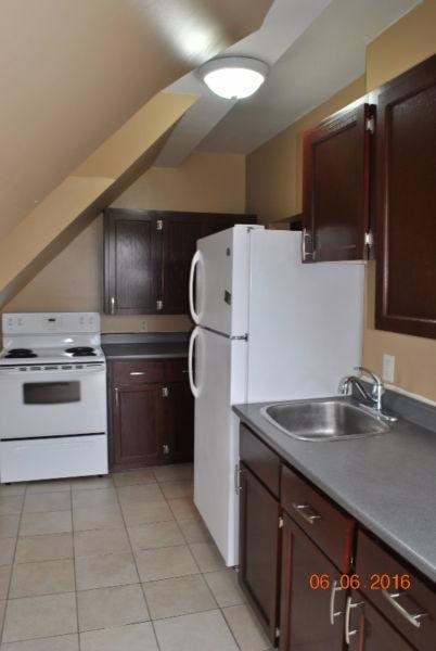 Utilities incl. Newly Renovated 1 Bedroom Downtown