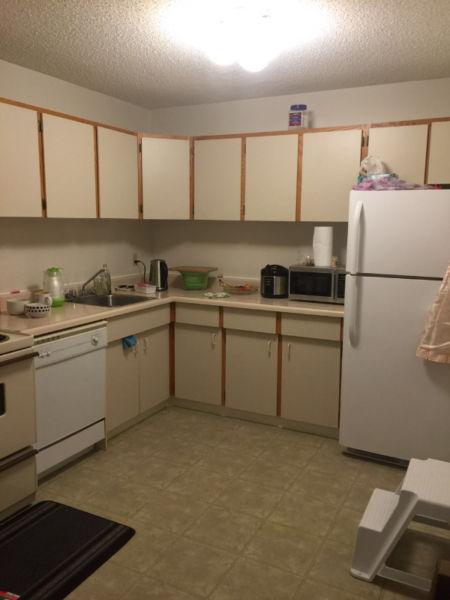 One bedroom apt. for sublet, starting 1 August