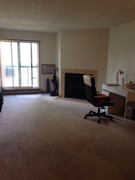 One bedroom apt. for sublet, starting 1 August