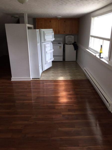 Downtown 2 Bedroom Apartment for Rent Immediately