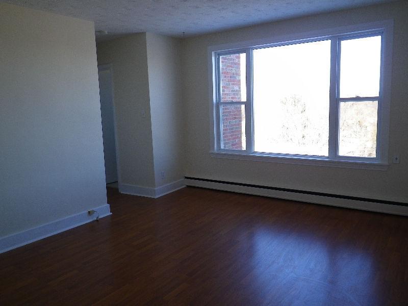 Fully Renovated Downtown 2 Bedroom with Heat & Hot Water Inc