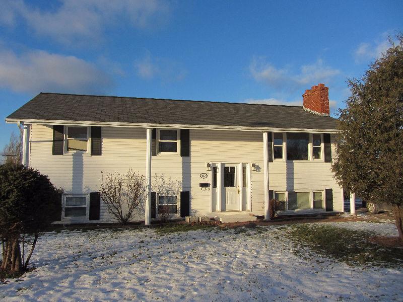 Shediac rd area 2 bedroom downstairs apt