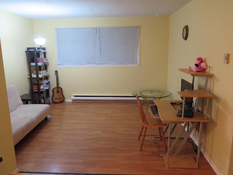 2 bedroom furnished apartment in Millidgeville