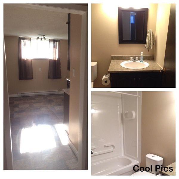 2 large Bedroom Above Ground Basement Apartment (No Lease)