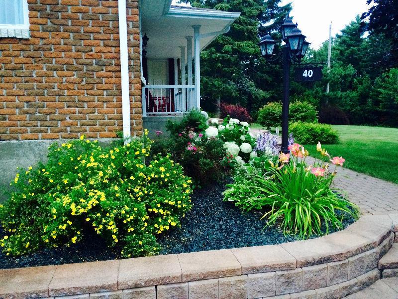 Executive apartment for rent July 1st, 2016