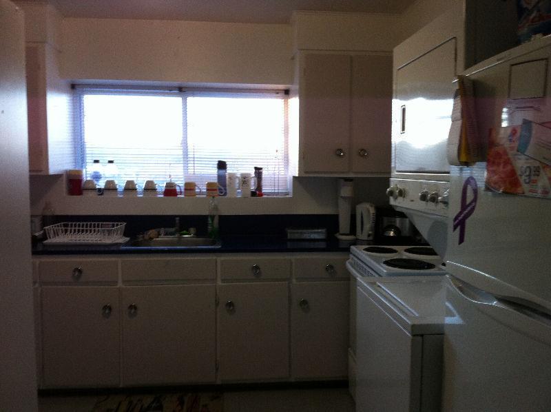 Walk to MUN, Health Sciences, Avalon Mall - Available July 1