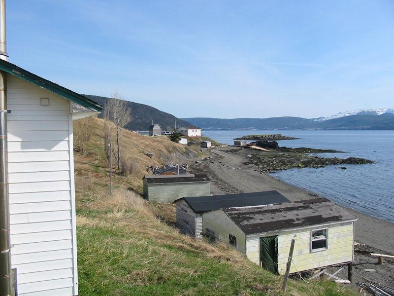 Reduced! 62 Main Road, McIvers-Perry Butt-NL Island Realty