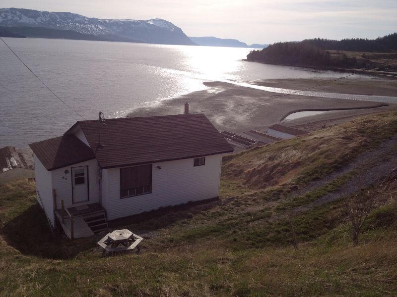 Reduced! 62 Main Road, McIvers-Perry Butt-NL Island Realty