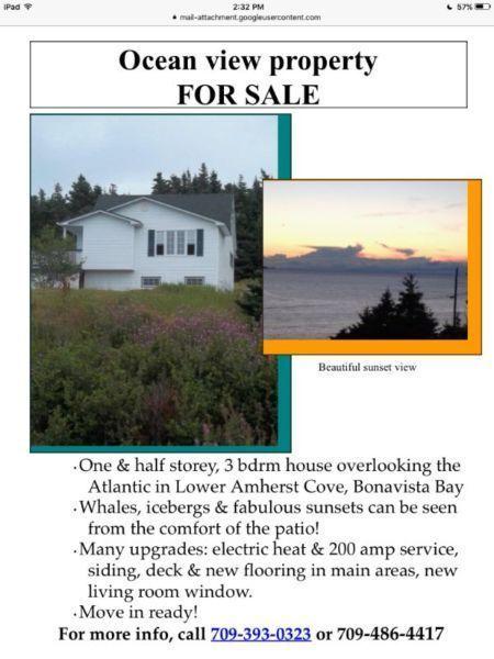For Sale: Beautiful Ocean View Property