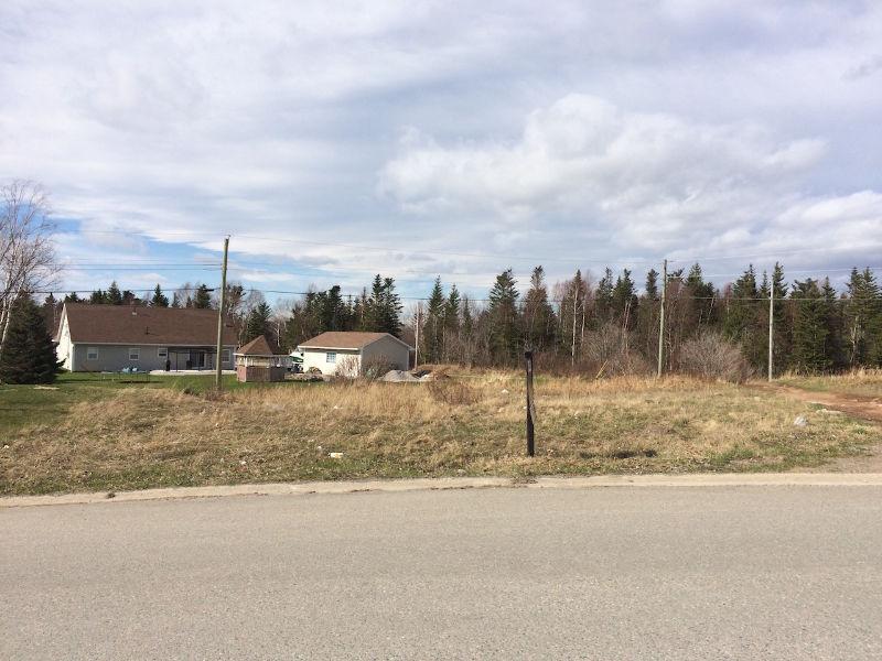15 Wagg Place, Pasadena-Perry and Cherie-NL Island Realty