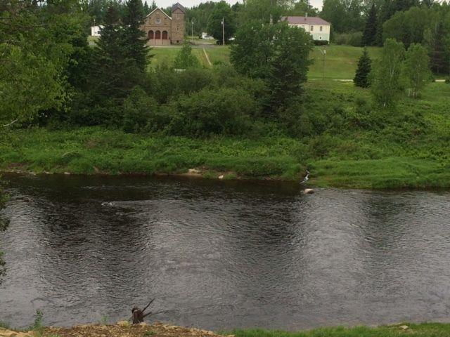 WATERFRONT PROPERTY ON RENOUS